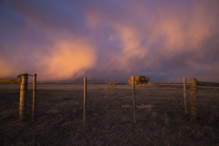 Haystacks in Albany, County, Wyoming.