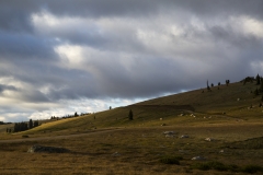 Dirt roads heading into the wilds of the Beartooth mountains.